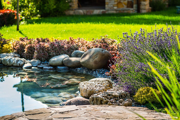 Plants and small pond with stones in garden