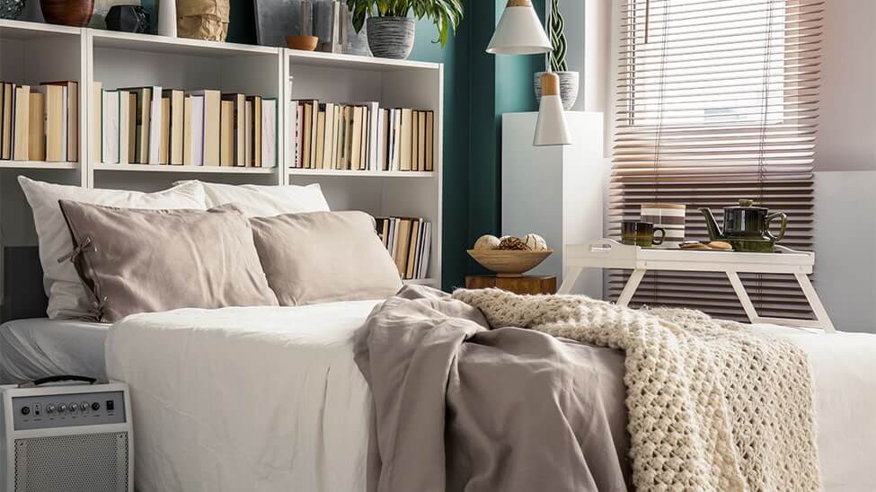 Bedroom cozy with bookshelf