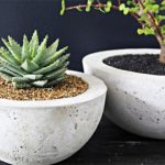 2 plants in concrete deco bucket