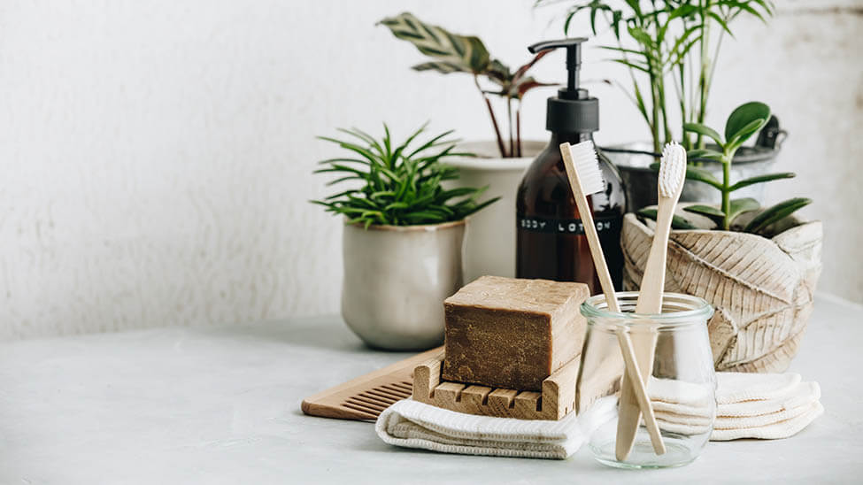 Alternatives to plastic like wooden toothbrushes or wooden comb