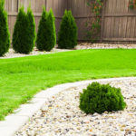Garden design with lawn, bushes and stones