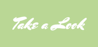 "Take a Look"-Schriftzug in "Mrs Sheppards"-Schreibschrift auf grünem Hintergrund