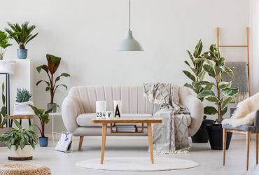Cremefarbenes Wohnzimmer mit vielen Pflanzen und Holzelementen