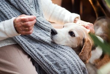 Hund mit Schnupfen sitzt bei Frauchen