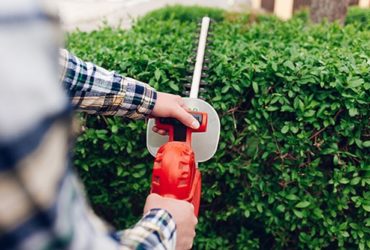Mann schneidet Hecke mit Akku-Grasschere