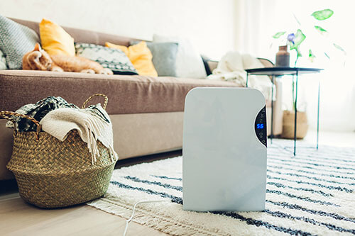 Air Cooler auf Teppich im Wohnzimmer