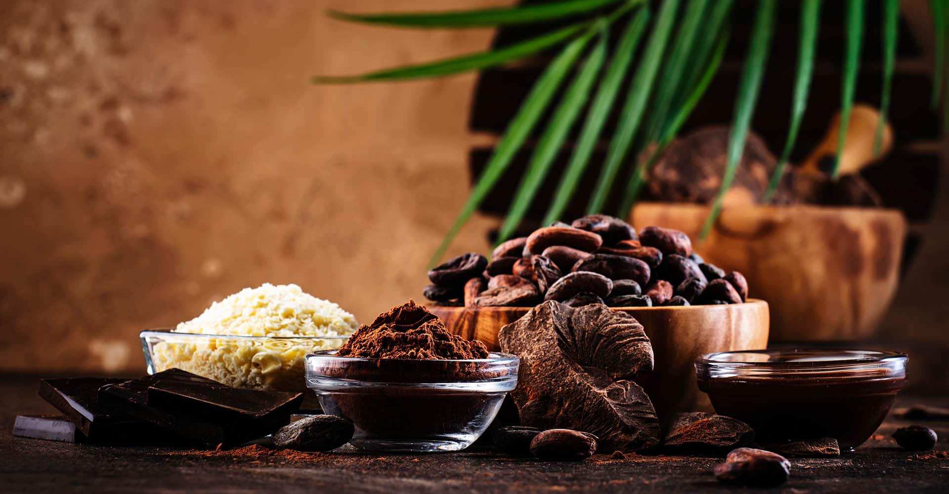 Verschiedene Kakaobutter-Produkte